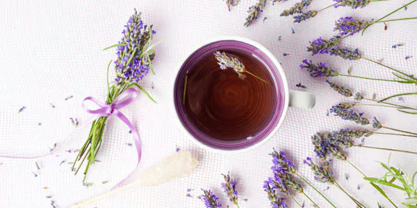 lavanda